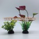 Hot Sale Aquarium Decoration Aquatic Plants