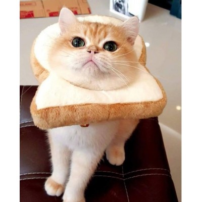 Pet Supplies Cat Lovely Bread Cartoon Headset